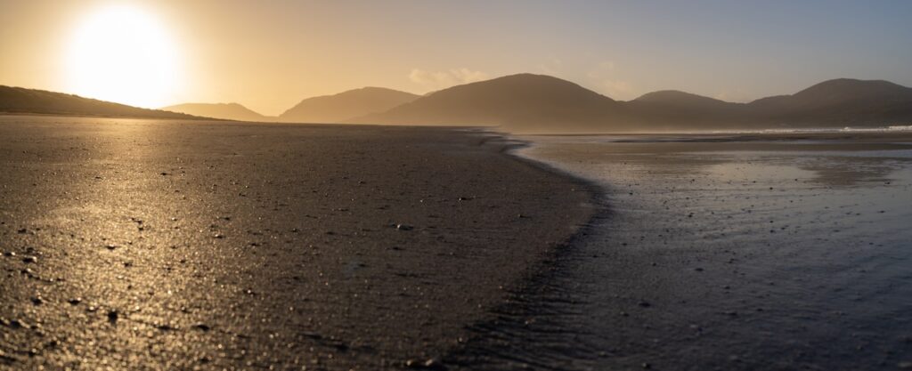 contact Tristan Young